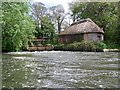 Hatches on the river Avon below Winkton