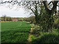 Looking NE along footpath