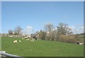 One of a pair of small holdings on a hill above Afon Gwna