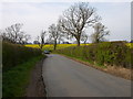 SP4270 : Frankton Country Lane by Ian Rob