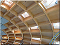 Wooden roof of The Core - Eden Project