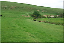 TV5199 : Grassy track in the Cuckmere Valley. by N Chadwick