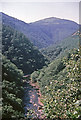 SN7477 : Rheidol Gorge, Devil's Bridge taken 1963 by William Matthews