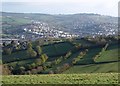 Fields above Ringmore