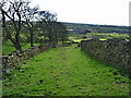 Footpath from Gaulkthorn