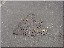 TL8742 : Manhole cover, New Queens Road by Oxyman