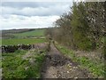 Lepton Lane, Kirkburton