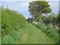 A green lane