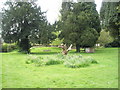 Treestump and tomb within Rogate Churchyard