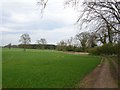 Bridleway to Claxton