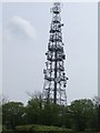 BT Radio mast on Ermine Street