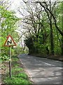 Holt Road past Stody Lodge