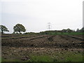 Pylons between Sandilands and Dumpford Lane