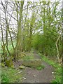 Boundary lane off Busker Lane, Scissett, Skelmanthorpe