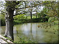 Looking W across a pond near Pullington Farm