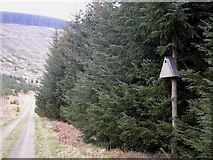 NT3935 : Owl Nest Box in Elibank Forest by Iain Lees