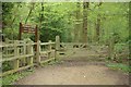 Entrance to Wainbody Wood from The Spinney