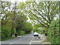 The "main" road through Nyewood