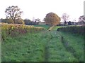 Footpath near Stonyford