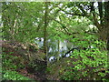 Pond at the edge of Mounts Lane