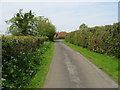 Looking N along Mounts Lane to junction with Rolvenden Hill