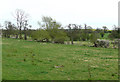 SJ9509 : Grazing Land near Saredon Brook, Staffordshire by Roger  D Kidd
