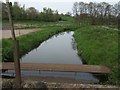 River Tern upstream of the fish farm