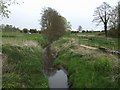 River Tern upstream of the fish farm