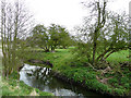 Saredon Brook near Four Crosses, Staffordshire