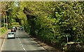 The Upper Malone Road at  Drumbeg