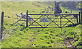 Gate on Farmtrack with Beware of the Bull Sign