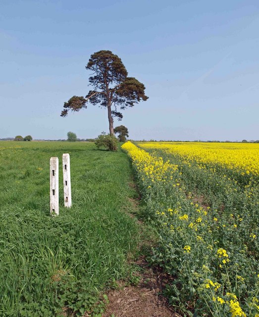 Posts © Steve Fareham Geograph Britain And Ireland 8191