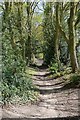 Footpath north of Sandy Lane, North Baddesley