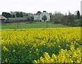 Breach Farm near Ashby-de-la-Zouch