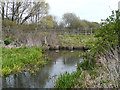 SJ9509 : Cats Bridge, Hatherton Canal, Four Crosses, Staffordshire by Roger  D Kidd