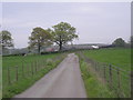 The driveway to Wood End Farm