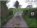 Cattle grid on the way to Wigley