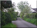 Lane near the Moat House