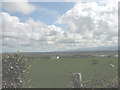 View across grazing land in the direction of Malltraeth