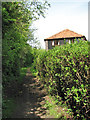 Footpath to the ruins of St Mary