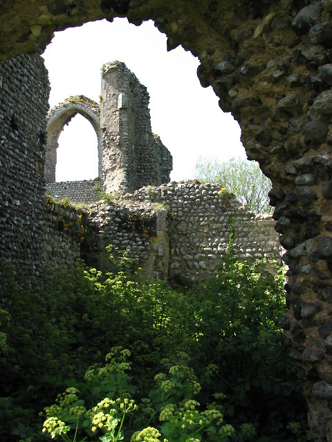 The ruins of St Mary's Priory