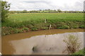SO7723 : River Leadon and water meadows from Wedderburn Bridge by Roger Davies