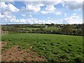 Countryside east of Abbotskerswell