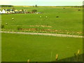 Fields at Castlebrae