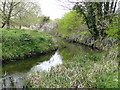 Saredon Brook, near Four Crosses, Staffordshire