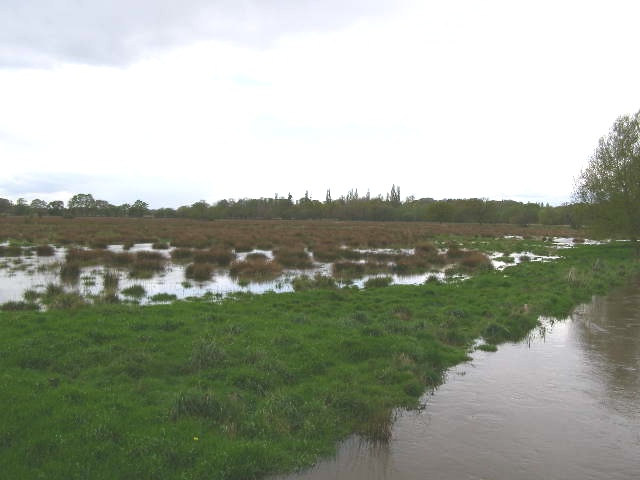 Water Meadows