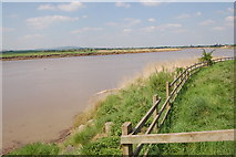 SO7611 : River Severn at Epney by Roger Davies