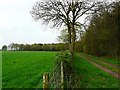 Bridleway from Beckside to the Old Schoolhouse