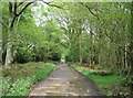 Restricted Byway - Bucklebury Common