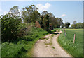 Derelict buildings by farm track